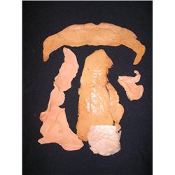 The Beast Within (1982) Monster Makeup Appliances