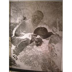 House of Frankenstein Negative