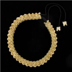 615ct RARE Cobra Bone Choker Necklace (JEW-3778)