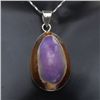 Image 1 : Polished Cowry Shell and Sterling Silver Necklace (JEW-209)