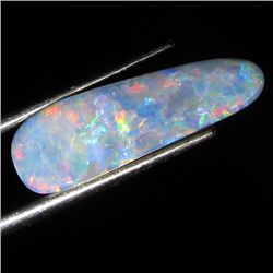 4.2ct Australian Black Opal Doublet Full Fire (GEM-36304)
