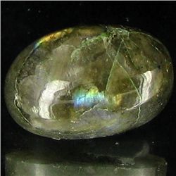 16.17ct RARE Translucent Labradorite Cabochon  (GEM-39203)