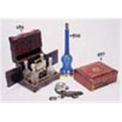 A cold painted bronze inkstand, in the form of a lizard with glass eyes, holding a glass inkwell in
