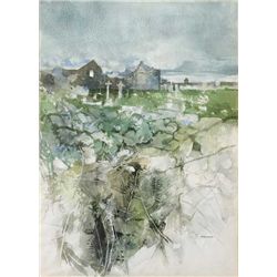 Terence P. Flanagan RHA PPRUA (1929-2011) - HOLY WELL ON THE ISLAND OF INISHMURRAY, COUNTY GALWAY, c