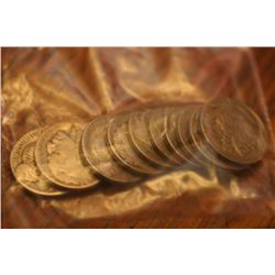 10 buffalo nickels