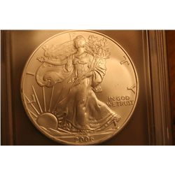 2006 icg ms 69 silver eagle