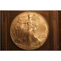 2009 icg ms 69 silver eagle