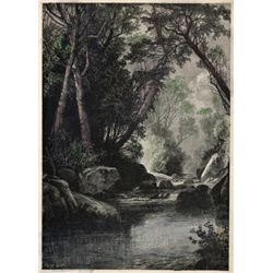 BEAR RIVER NEAR BETHEL MAINE from a collection or rare