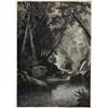 Image 1 : BEAR RIVER NEAR BETHEL MAINE from a collection or rare