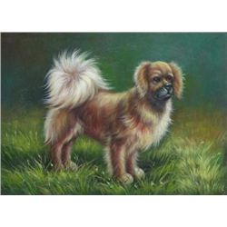 5 x 7 Oil on Board ~Puppy in Field~