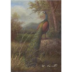 5 x 7 Oil on Board ~Perching Peacock~ Signed W. Ceruti