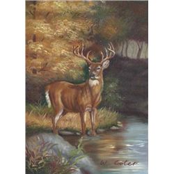 5 x 7 Oil on Board ~Deer in Woods~ Signed W. Coter