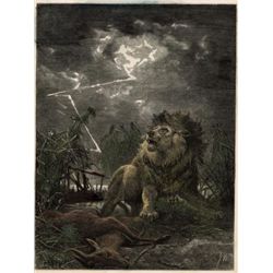 KING OF BEASTS from a collection of rare prints