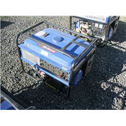 Chicago Electric 6,500 Watt Generator