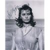Image 1 : Sophia Loren