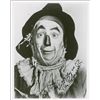 Image 1 : Wizard of Oz: Ray Bolger