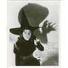 Image 1 : Wizard of Oz:  Margaret Hamilton