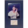 Image 1 : Ted Williams