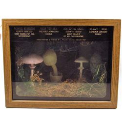 1987 LIGHTED SHADOW BOX OF MUSHROOMS