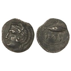 Hemidracma. - GADES. - Anv.: Cabeza de Hércules con piel de león a izquierda. Rev.: Atún a derecha (
