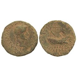 As. - ÉPOCA DE TIBERIO. - ILERCAVONIA. - Anv.: TI. (CAESAR DIVI.) AVG. AVGVSTVS. Cabeza laureada de