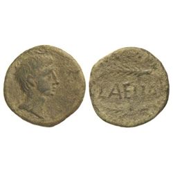 Semis. - LAELIA. - Anv.: Cabeza de Augusto a derecha. Rev.: Palmas a izquierda entre ambas LAELIA. 4