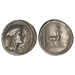 Denario. - 55 a.C. - PLANCIA-1. - Cn. Plancius. - Anv.: CN. PLANCIVS (AED. CVR. S. C.). Cabeza de Di