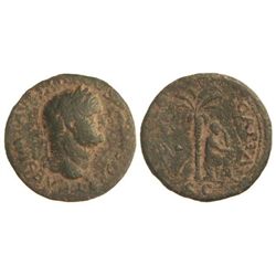 As. - Acuñada el 77-78 d.C. - TITO. - Anv.: T. CAES. IMP. AVG. (F. TR. P. COS. VI) (CEN)SOR. Cabeza