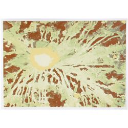 Domenick Turturro, Serigraph