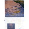 Image 1 : Dennis Oppenheim, Two Ways to Skin a Cat, Lithograph