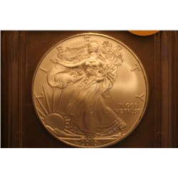 2010 icgms69 silver eagle