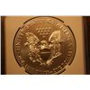 Image 2 : 2009 ms69 silver eagle ngc