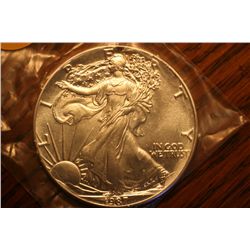 1987 silver eagle