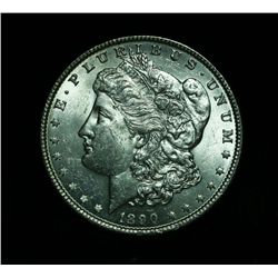 1890-p Morgan Dollar Grades Select Uncirculated ms63