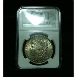 NGC 1887-p Morgan Dollar Graded Select Uncirculated ms63    VAM 24  Rarity 5