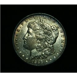 1893-p Morgan Dollar Grades Select Uncirculated ms63