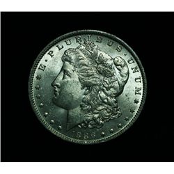 ***RARE  1886-o Morgan Dollar Grades ms63++  PQ   RARE***