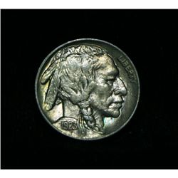 1923-p Buffalo Nickel 5c Grades Select Uncirculated ms63