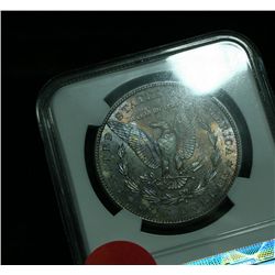 NGC 1881-s Morgan Dollar Graded Choice Uncirculated ms64  NGC Toned