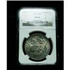 Image 2 : NGC 1881-s Morgan Dollar Graded Choice Uncirculated ms64  NGC Toned