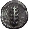 Image 1 : Lucania, Metapontum   Diobolo, 470-440 a.C.