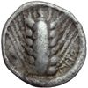 Image 1 : Lucania, Metapontum   Obolo, 470-440 a.C.