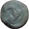 Image 1 : Agrigentum   Emilitra, 425-406 a.C.