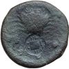 Image 2 : Agrigentum   Emilitra, 425-406 a.C.