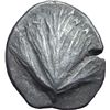 Image 1 : Selinunte   Didracma, 520-490 a.C.
