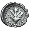 Image 2 : Selinunte   Obolo, 490-466 a.C.