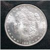 Image 2 : 1884O   GSA Morgan $  ngc GRADED  ms63