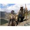 Image 2 : New Mexico Desert or Rocky Mtn. Bighorn Permit