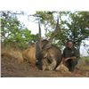 Image 2 : 10-Day Roan Antelope Hunt for 1 Hunter