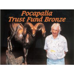 Pocapalia Trust Fund Bronze